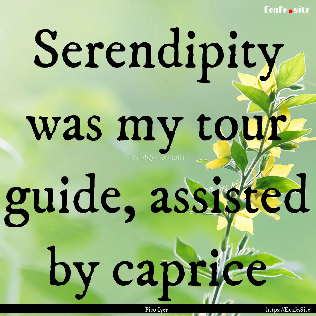 Serendipity was my tour guide, assisted by.... : Quote by Pico Iyer