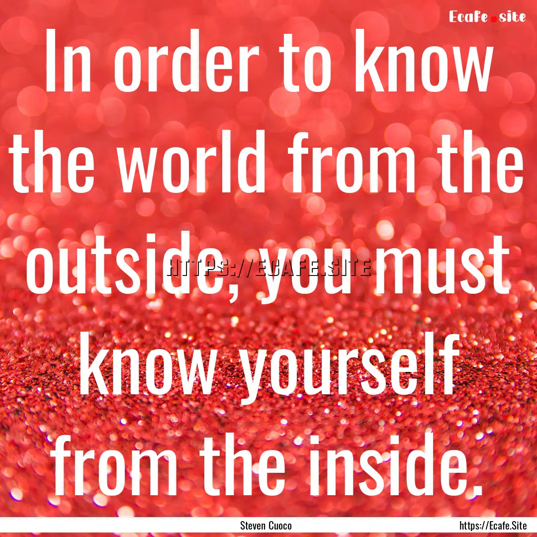 In order to know the world from the outside,.... : Quote by Steven Cuoco