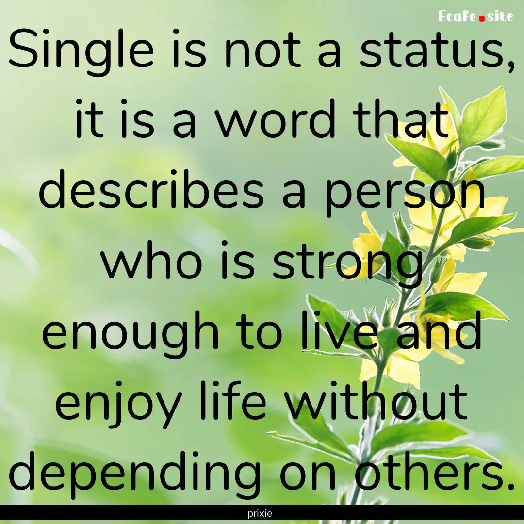 Single is not a status, it is a word that.... : Quote by prixie