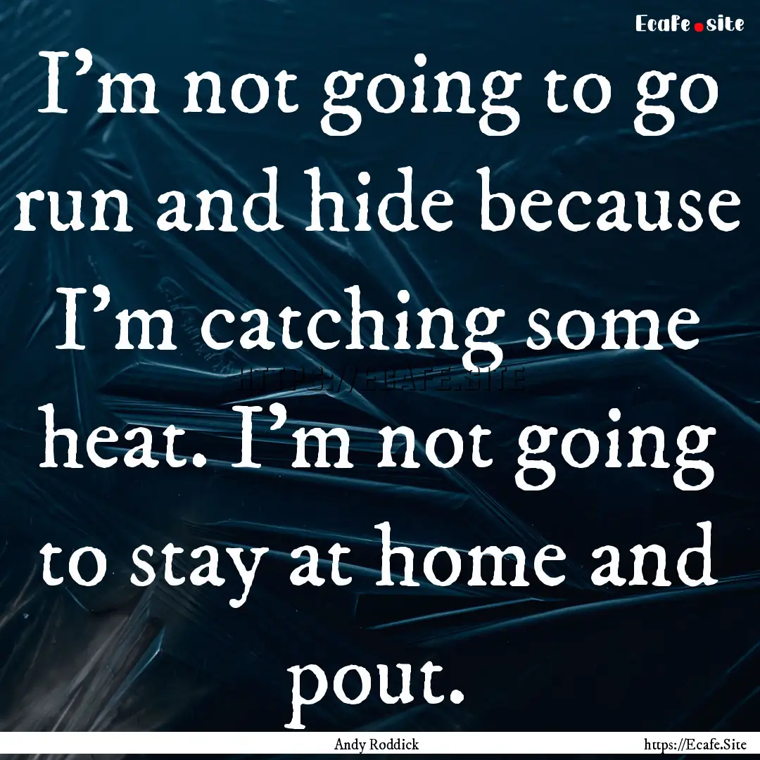 I'm not going to go run and hide because.... : Quote by Andy Roddick