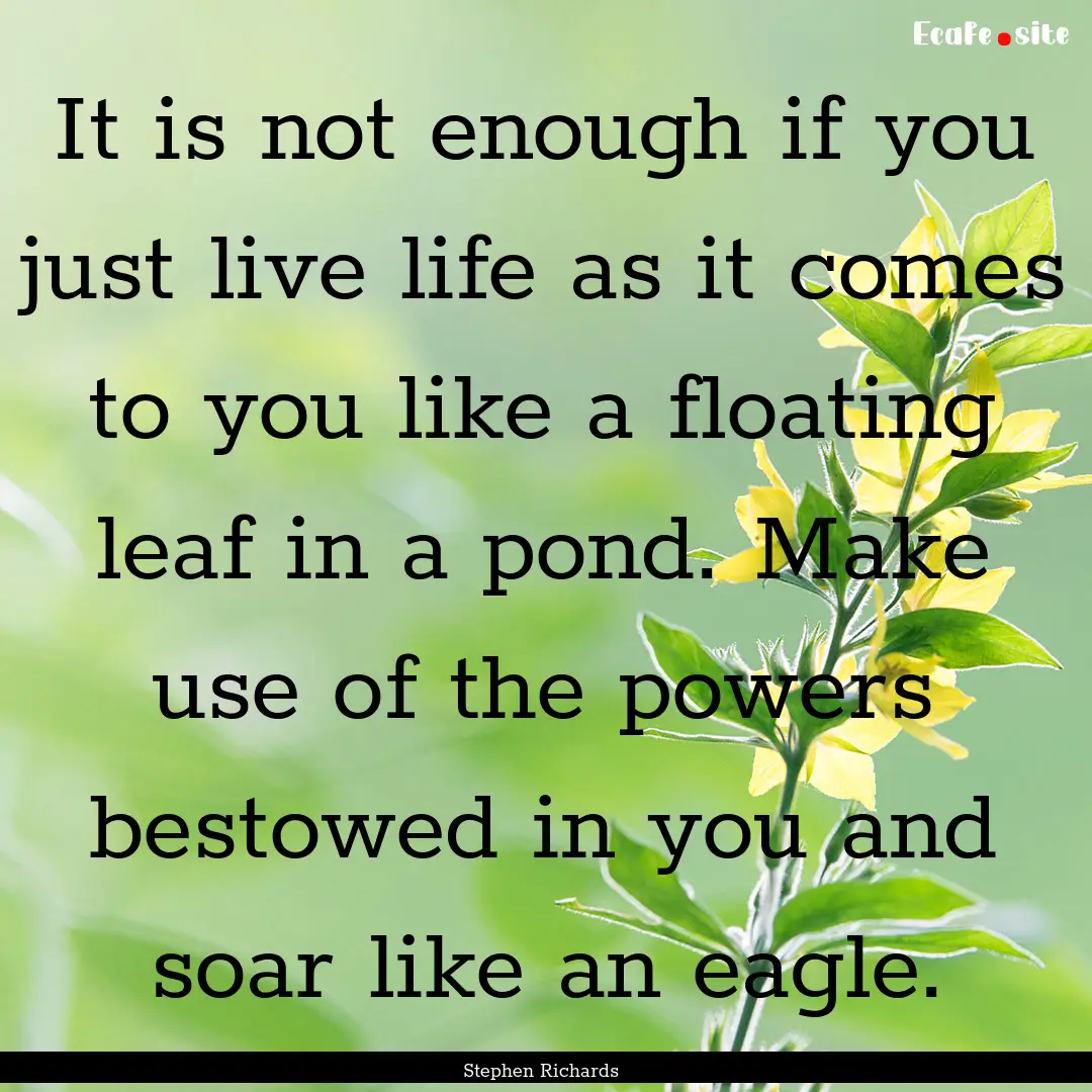 It is not enough if you just live life as.... : Quote by Stephen Richards