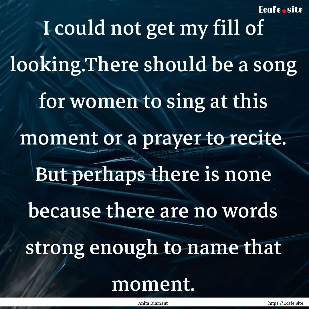 I could not get my fill of looking.There.... : Quote by Anita Diamant