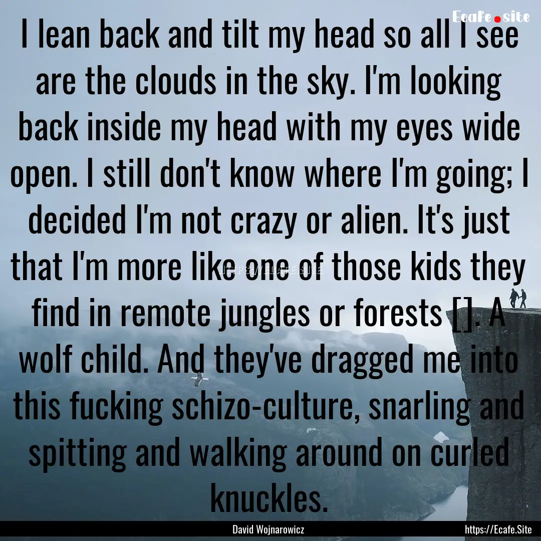 I lean back and tilt my head so all I see.... : Quote by David Wojnarowicz