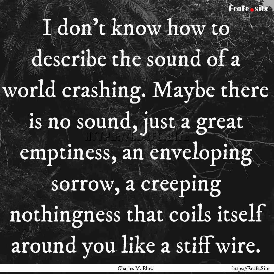 I don't know how to describe the sound of.... : Quote by Charles M. Blow