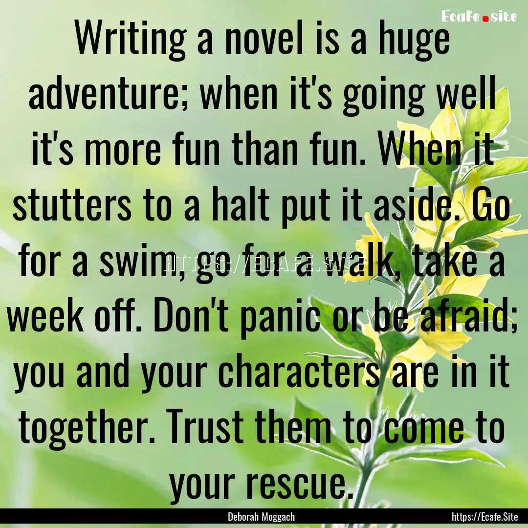 Writing a novel is a huge adventure; when.... : Quote by Deborah Moggach