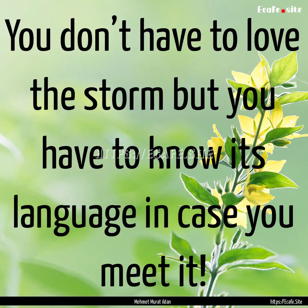 You don’t have to love the storm but you.... : Quote by Mehmet Murat ildan