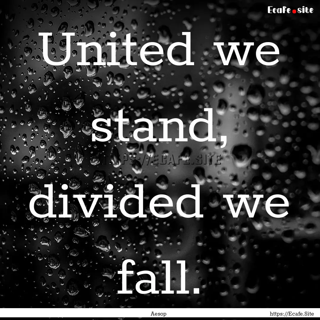 United we stand, divided we fall. : Quote by Aesop