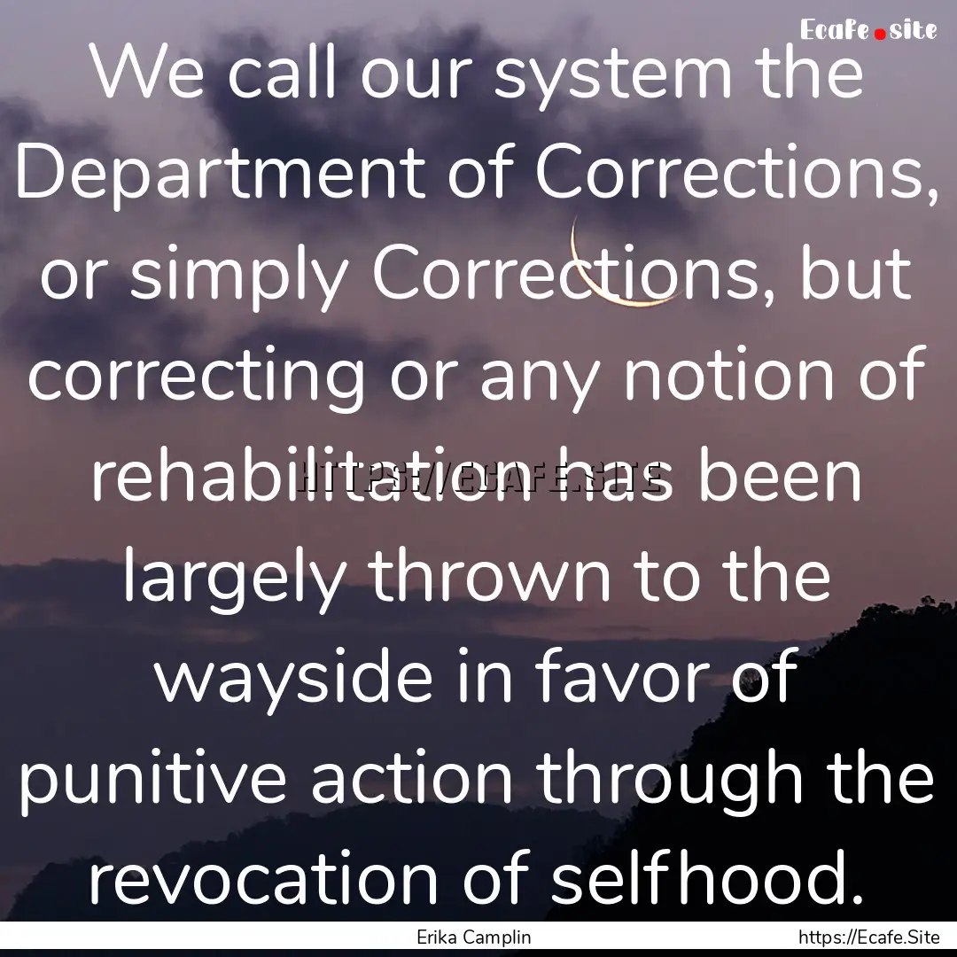 We call our system the Department of Corrections,.... : Quote by Erika Camplin