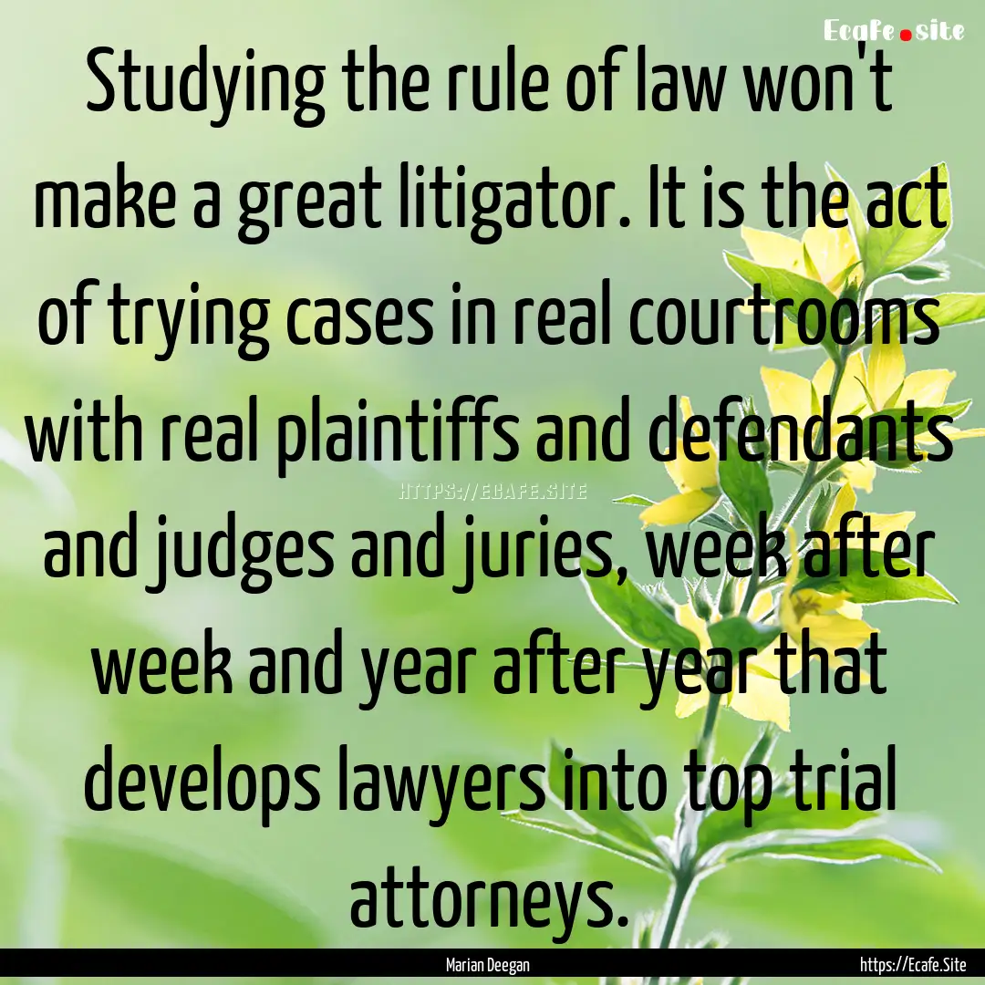 Studying the rule of law won't make a great.... : Quote by Marian Deegan