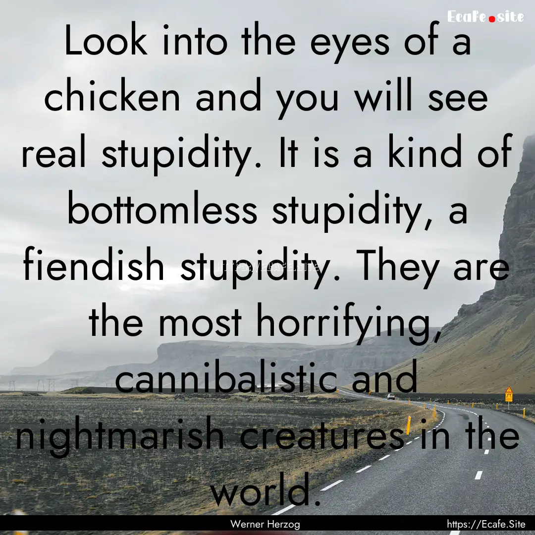 Look into the eyes of a chicken and you will.... : Quote by Werner Herzog