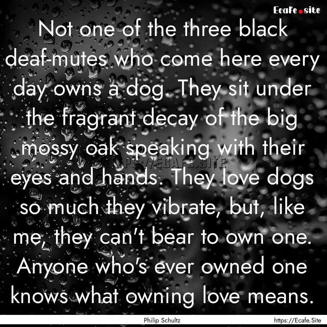 Not one of the three black deaf-mutes who.... : Quote by Philip Schultz