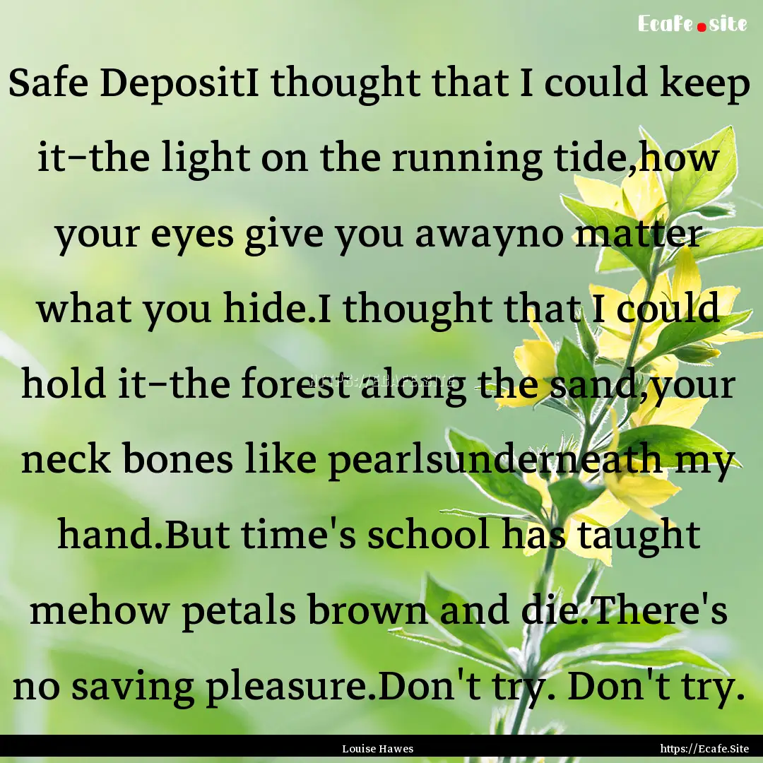 Safe DepositI thought that I could keep it−the.... : Quote by Louise Hawes