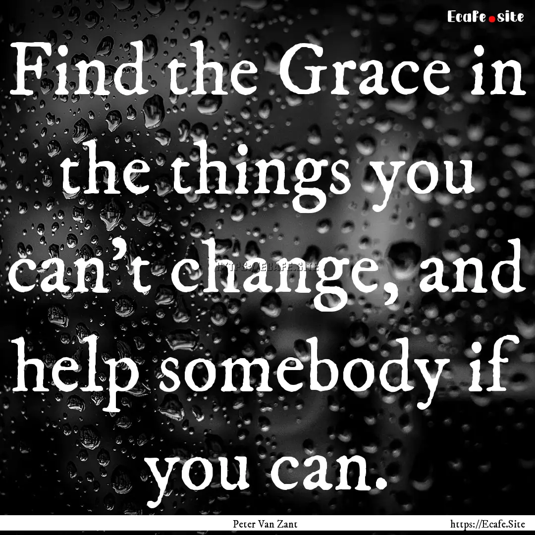 Find the Grace in the things you can’t.... : Quote by Peter Van Zant