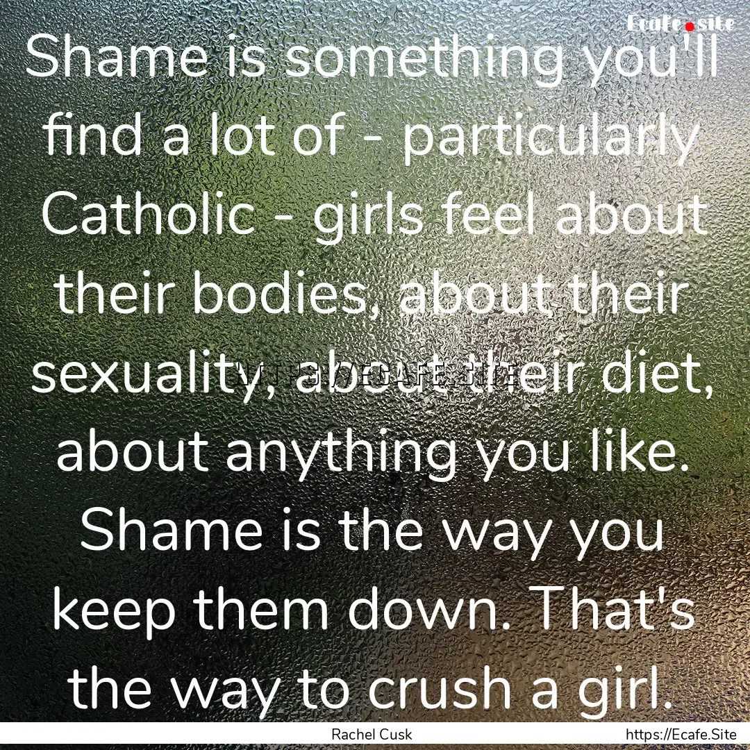 Shame is something you'll find a lot of -.... : Quote by Rachel Cusk