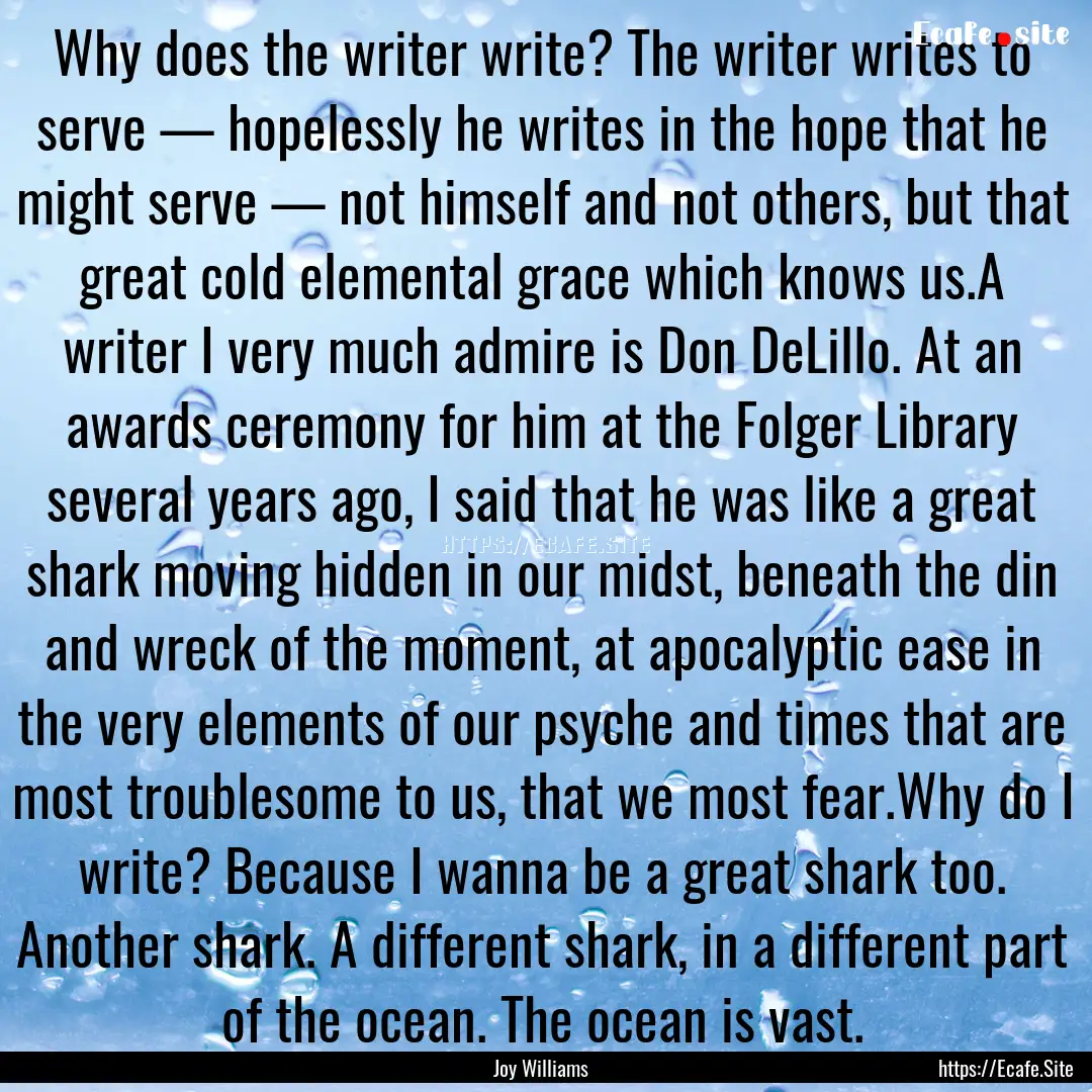 Why does the writer write? The writer writes.... : Quote by Joy Williams