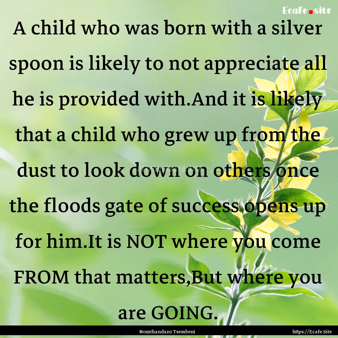 A child who was born with a silver spoon.... : Quote by Nomthandazo Tsembeni