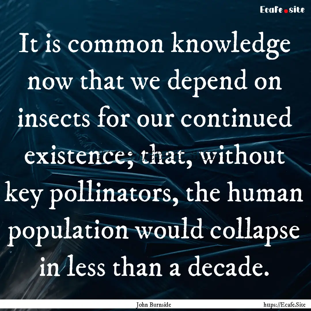 It is common knowledge now that we depend.... : Quote by John Burnside