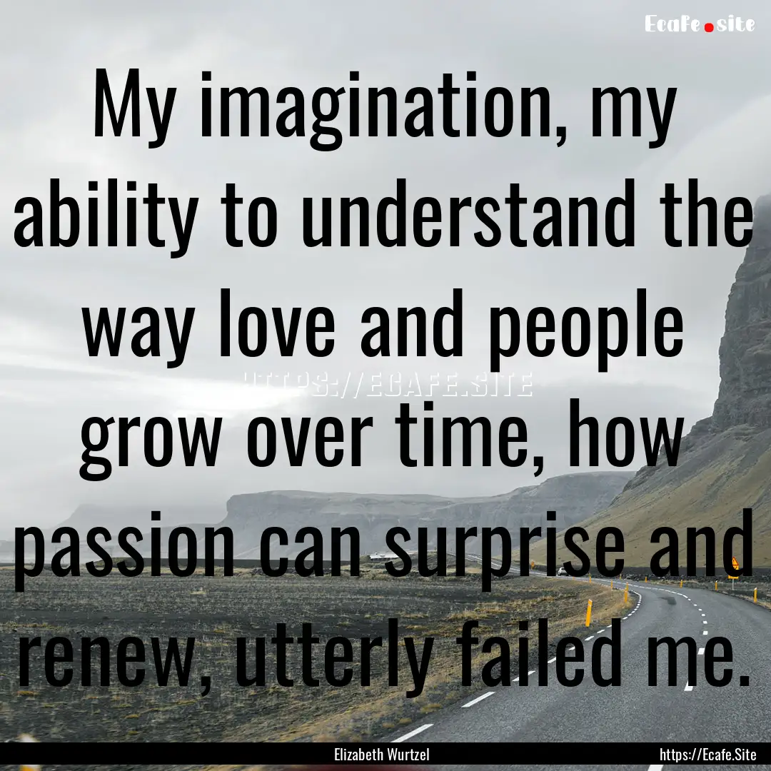 My imagination, my ability to understand.... : Quote by Elizabeth Wurtzel