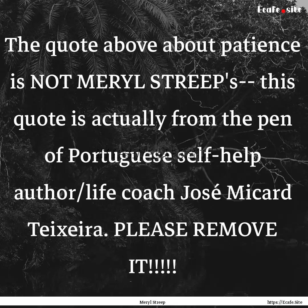 The quote above about patience is NOT MERYL.... : Quote by Meryl Streep