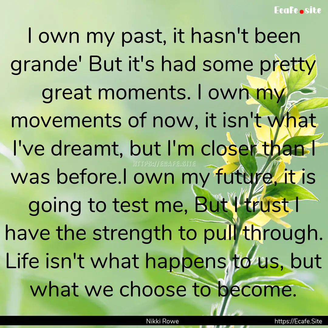 I own my past, it hasn't been grande' But.... : Quote by Nikki Rowe