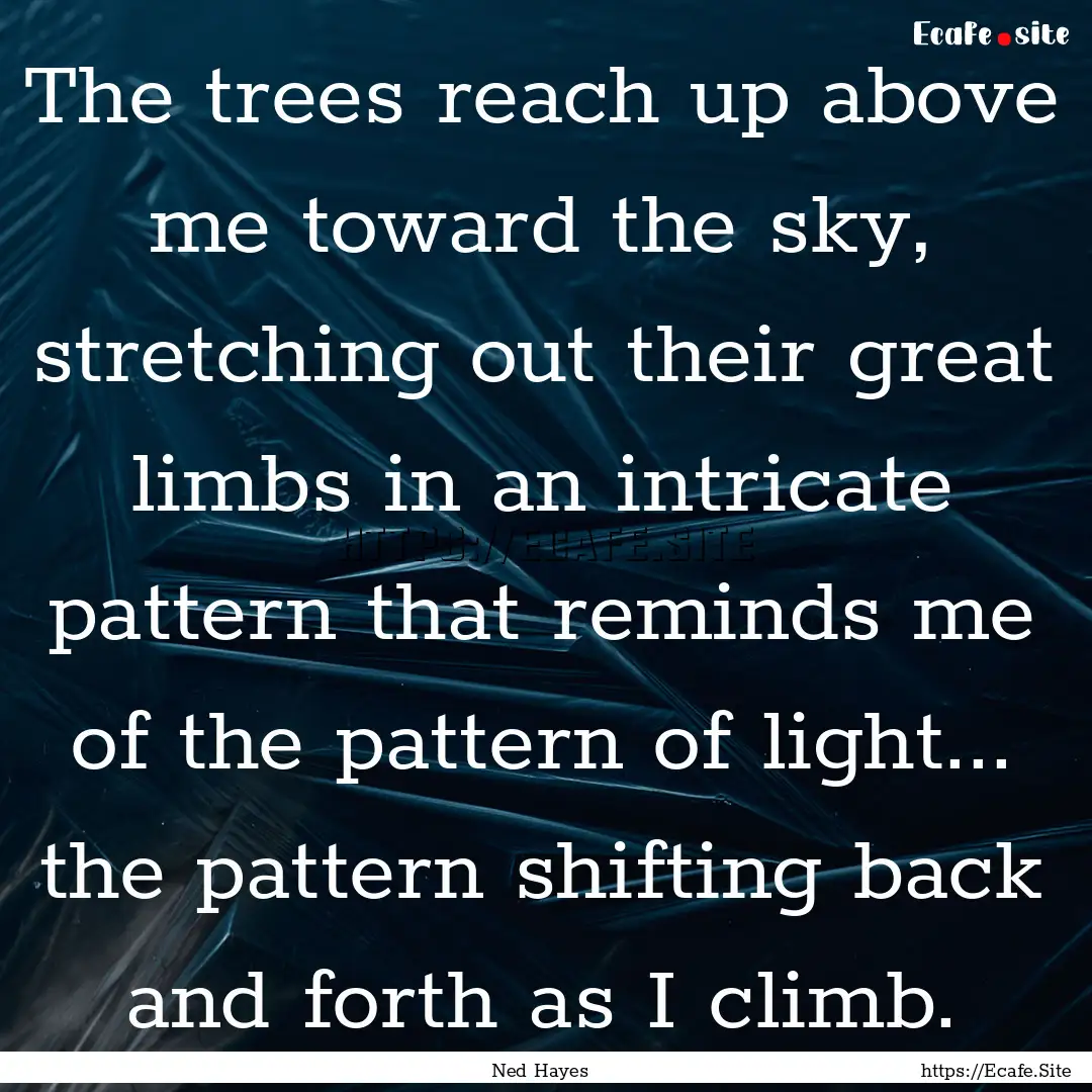 The trees reach up above me toward the sky,.... : Quote by Ned Hayes