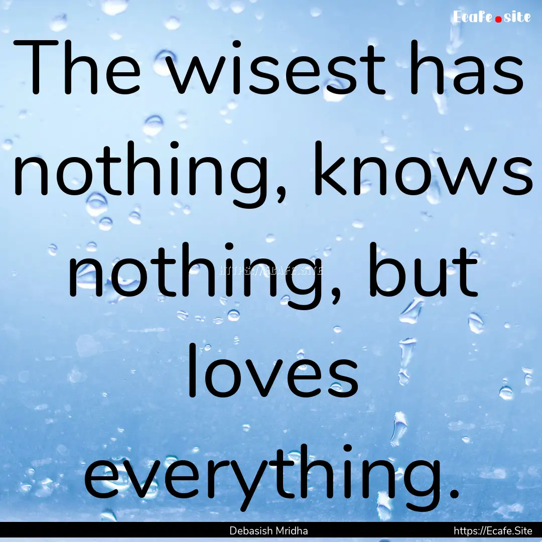 The wisest has nothing, knows nothing, but.... : Quote by Debasish Mridha