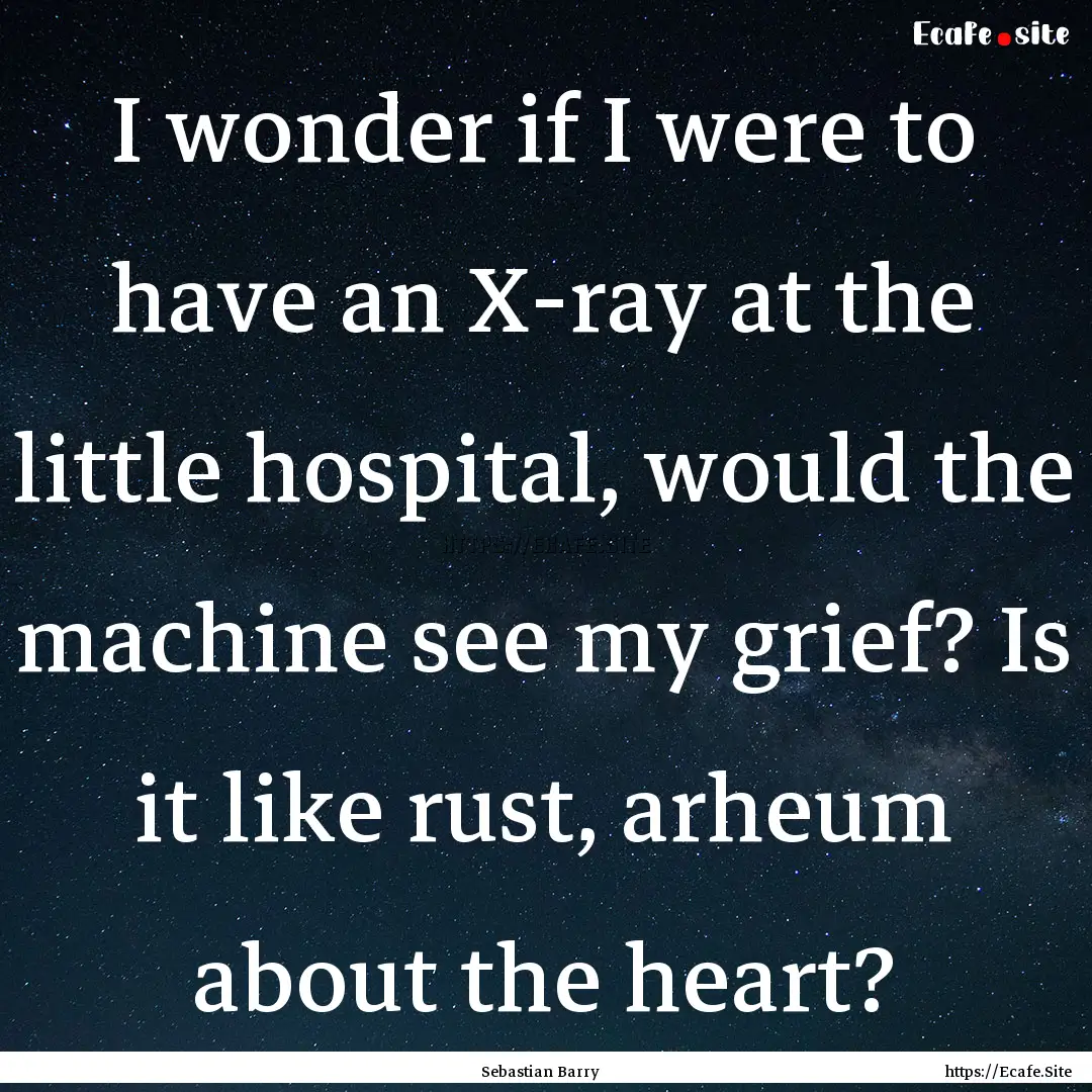 I wonder if I were to have an X-ray at the.... : Quote by Sebastian Barry