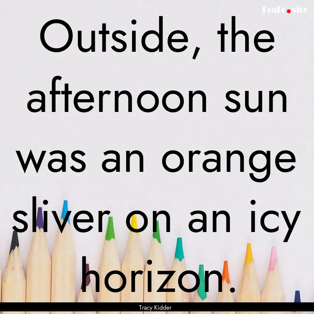 Outside, the afternoon sun was an orange.... : Quote by Tracy Kidder