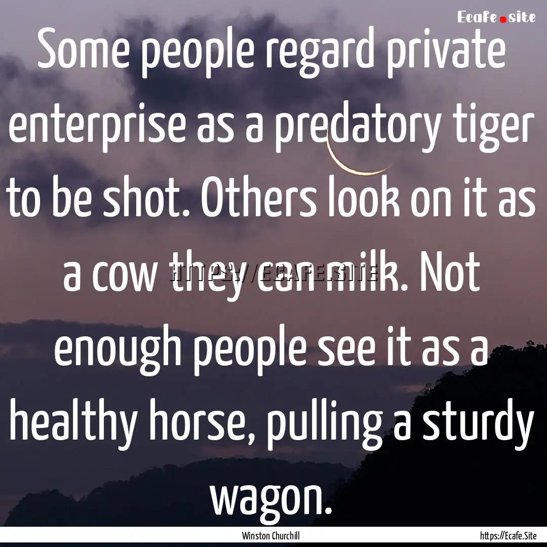 Some people regard private enterprise as.... : Quote by Winston Churchill