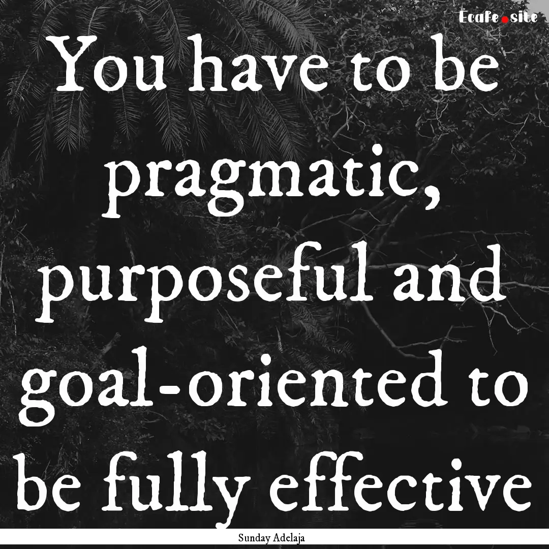 You have to be pragmatic, purposeful and.... : Quote by Sunday Adelaja