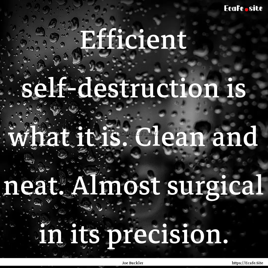 Efficient self-destruction is what it is..... : Quote by Joe Buckler