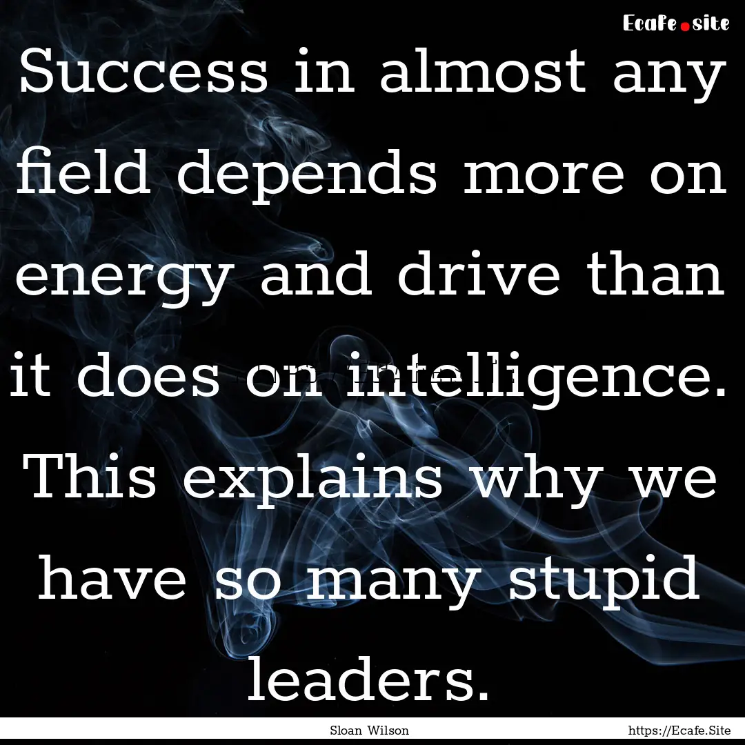 Success in almost any field depends more.... : Quote by Sloan Wilson