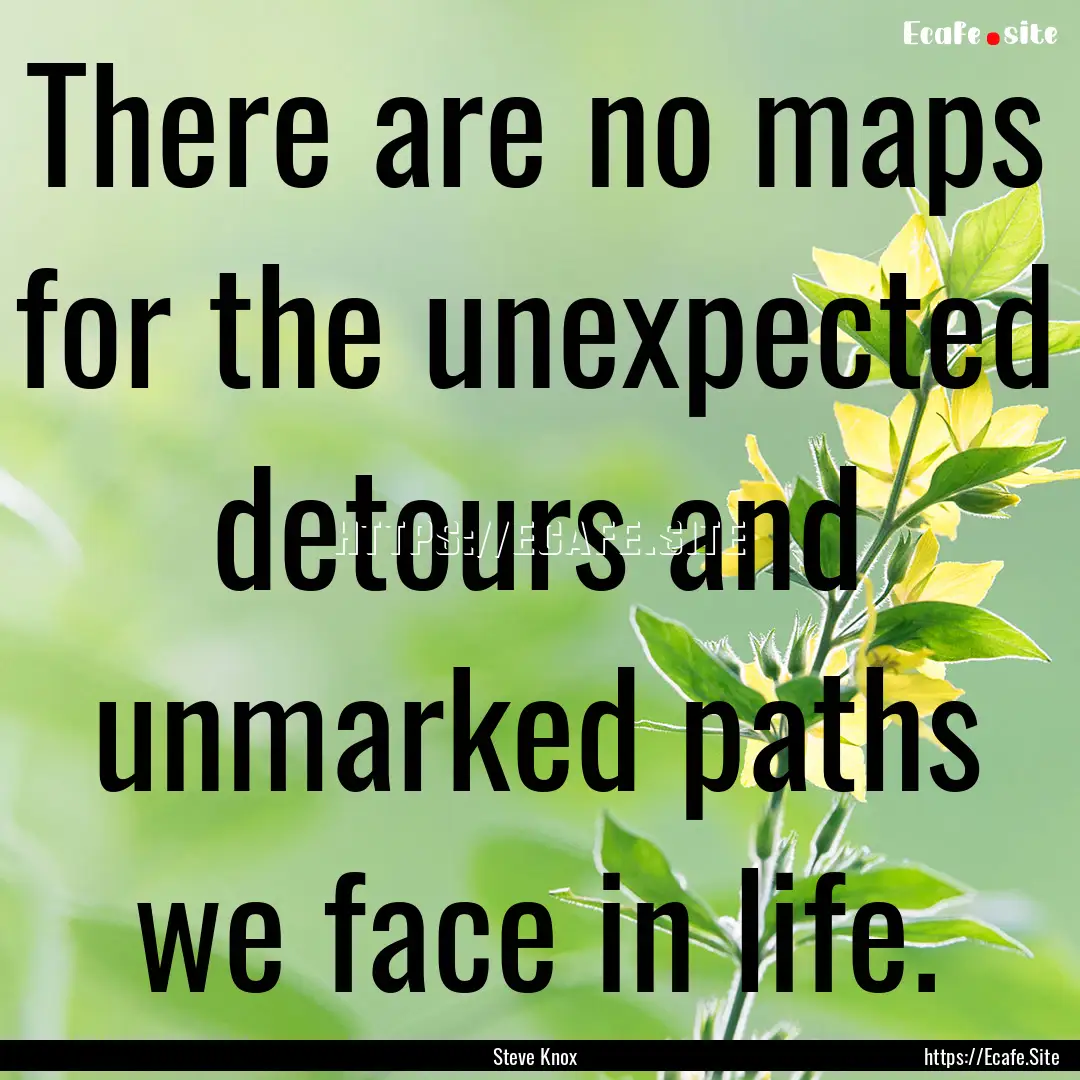 There are no maps for the unexpected detours.... : Quote by Steve Knox