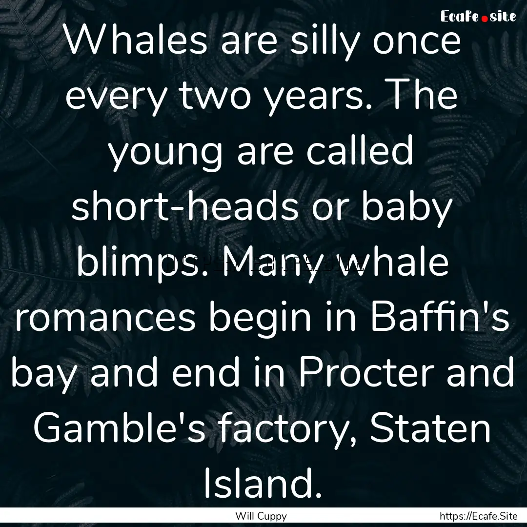 Whales are silly once every two years. The.... : Quote by Will Cuppy