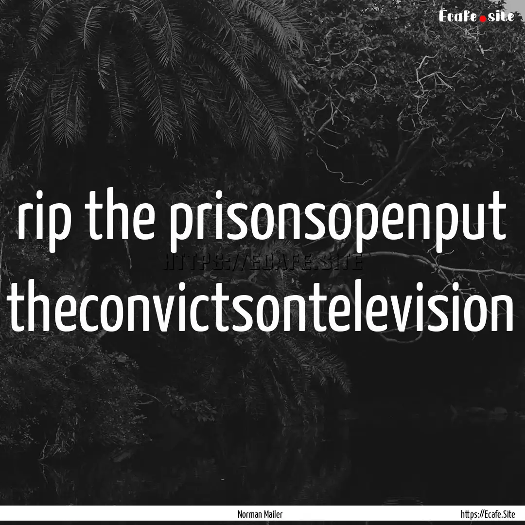 rip the prisonsopenput theconvictsontelevision.... : Quote by Norman Mailer