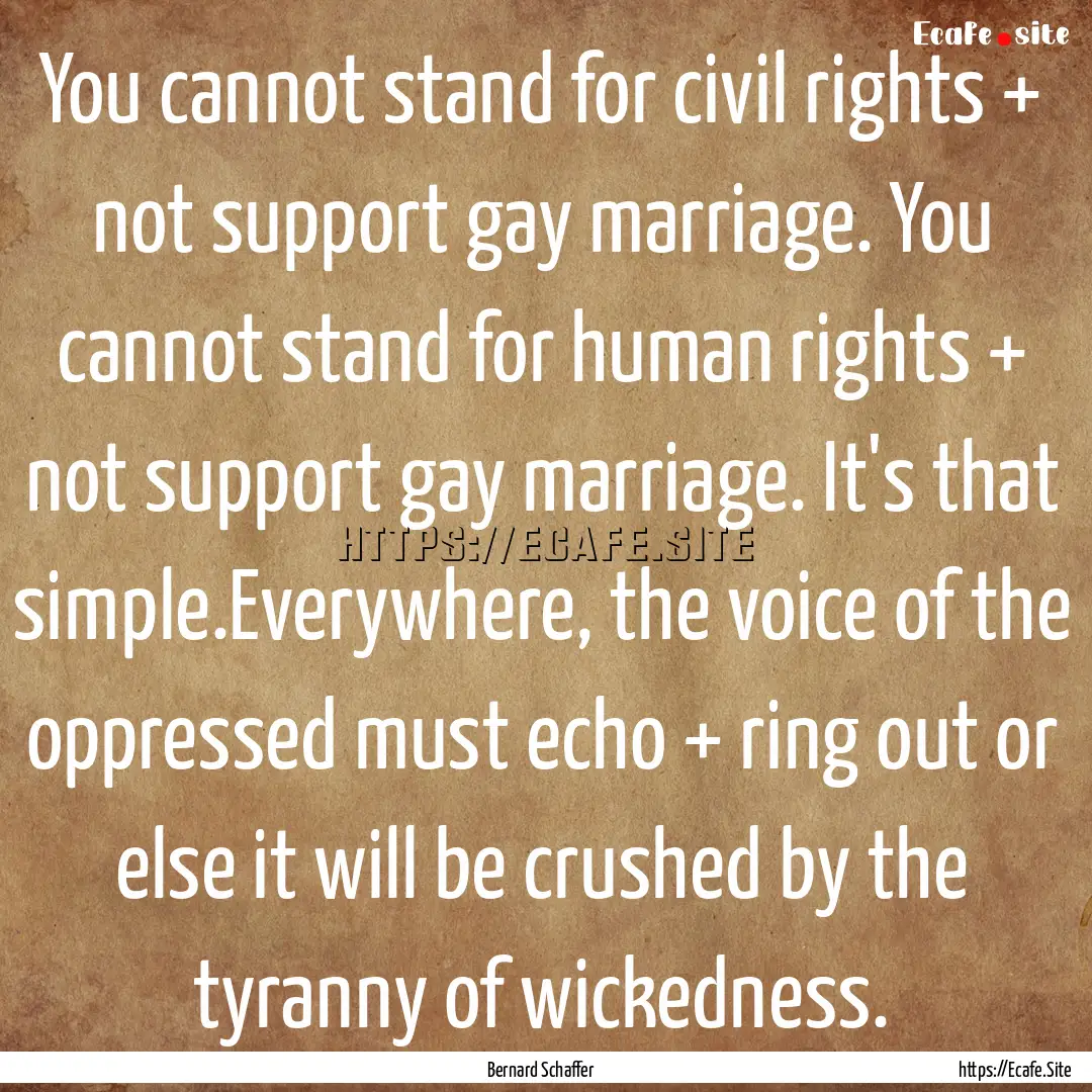 You cannot stand for civil rights + not support.... : Quote by Bernard Schaffer