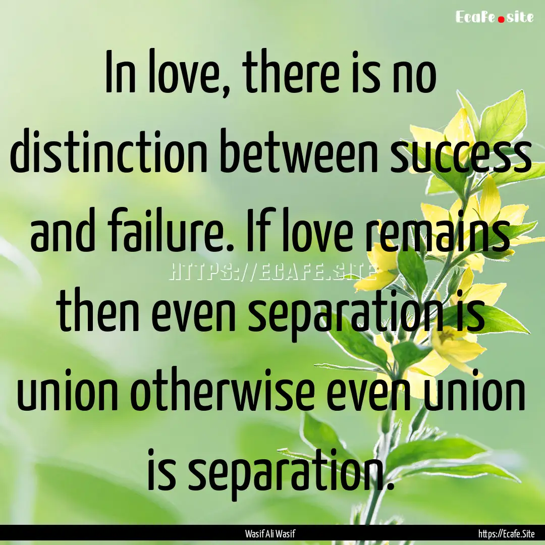 In love, there is no distinction between.... : Quote by Wasif Ali Wasif