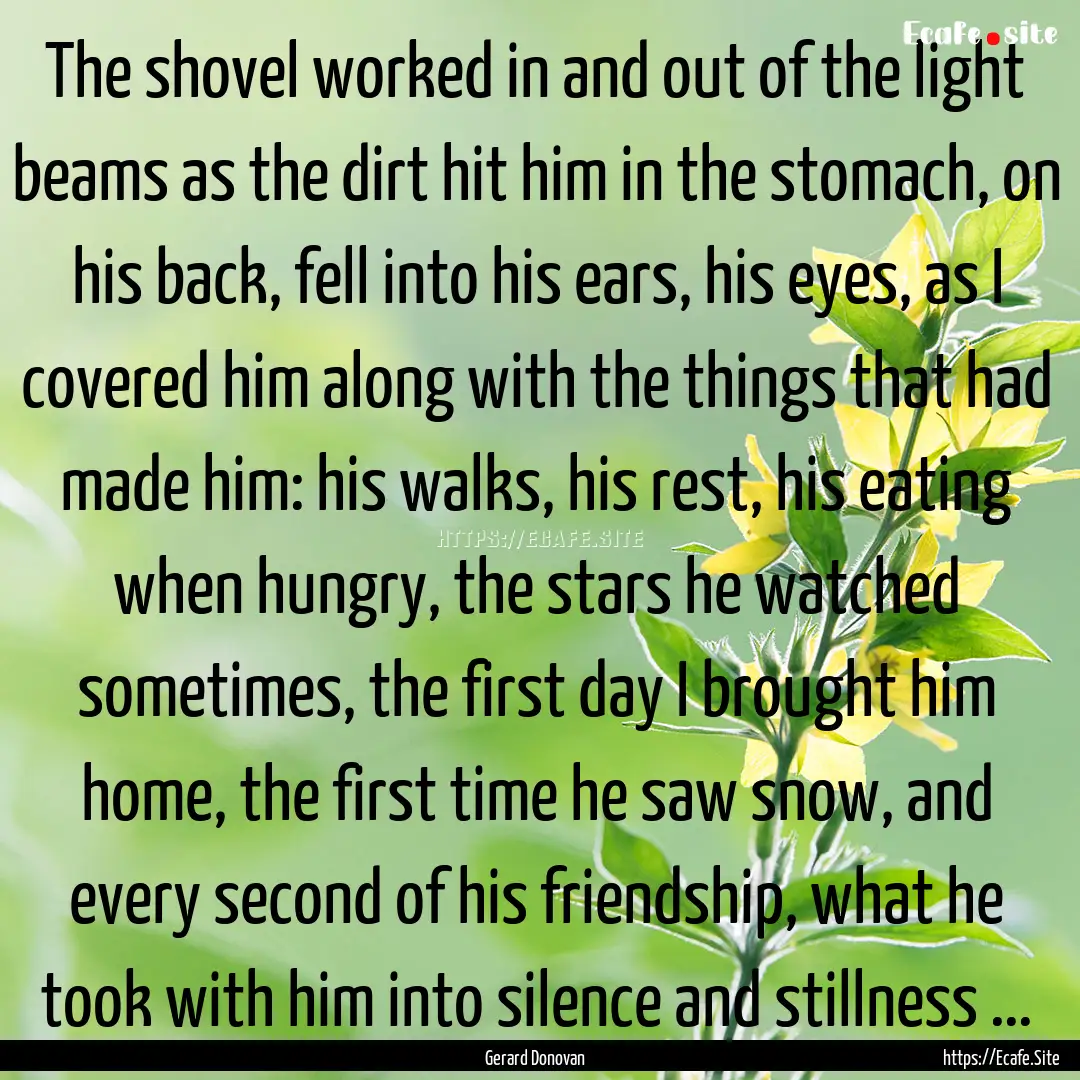 The shovel worked in and out of the light.... : Quote by Gerard Donovan