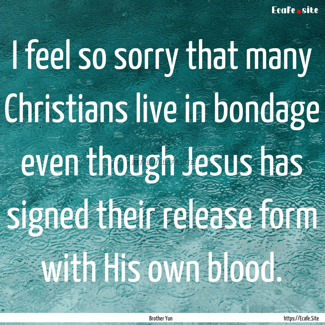 I feel so sorry that many Christians live.... : Quote by Brother Yun