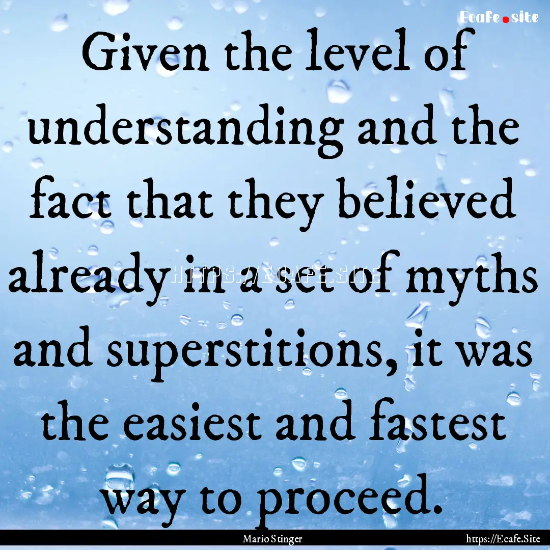 Given the level of understanding and the.... : Quote by Mario Stinger