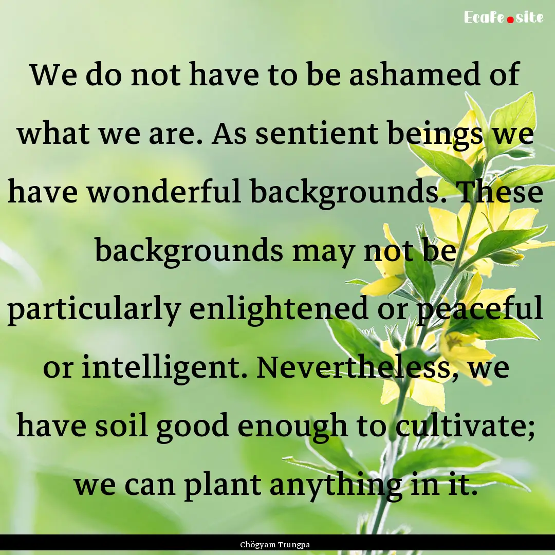 We do not have to be ashamed of what we are..... : Quote by Chögyam Trungpa