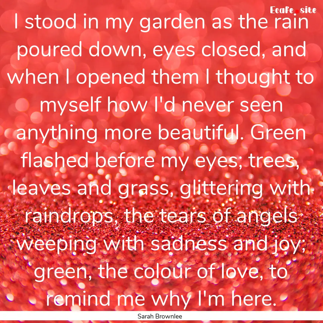 I stood in my garden as the rain poured down,.... : Quote by Sarah Brownlee