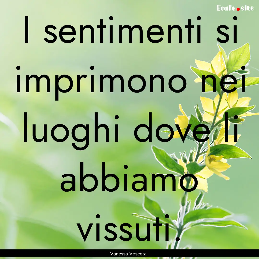 I sentimenti si imprimono nei luoghi dove.... : Quote by Vanessa Vescera