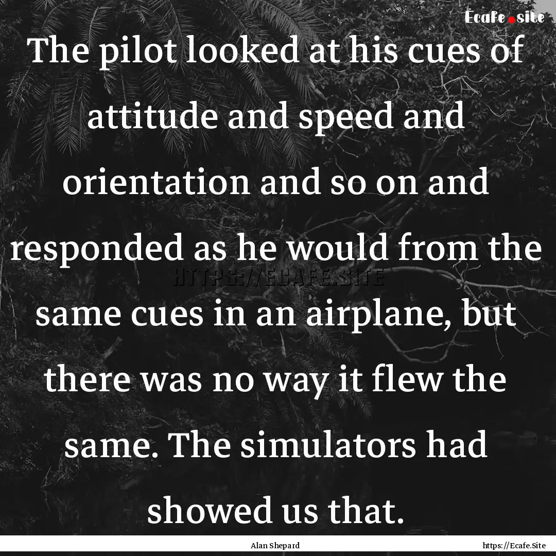 The pilot looked at his cues of attitude.... : Quote by Alan Shepard