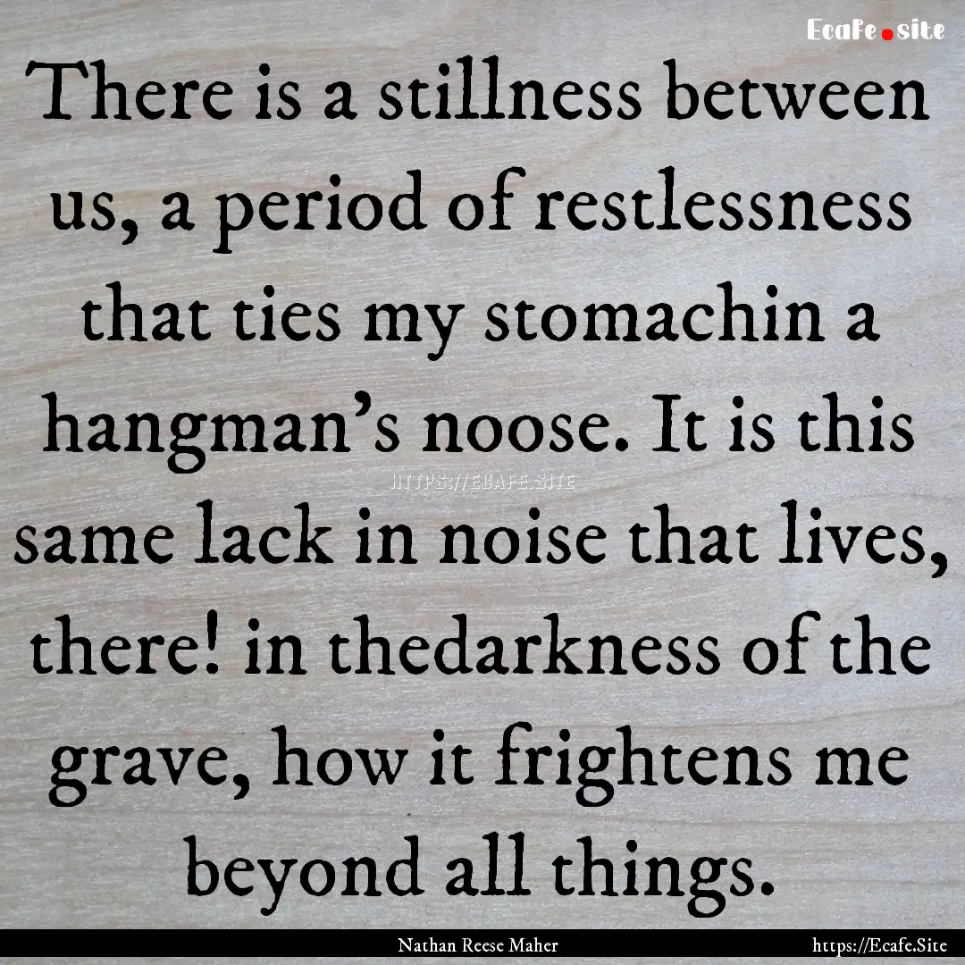 There is a stillness between us, a period.... : Quote by Nathan Reese Maher