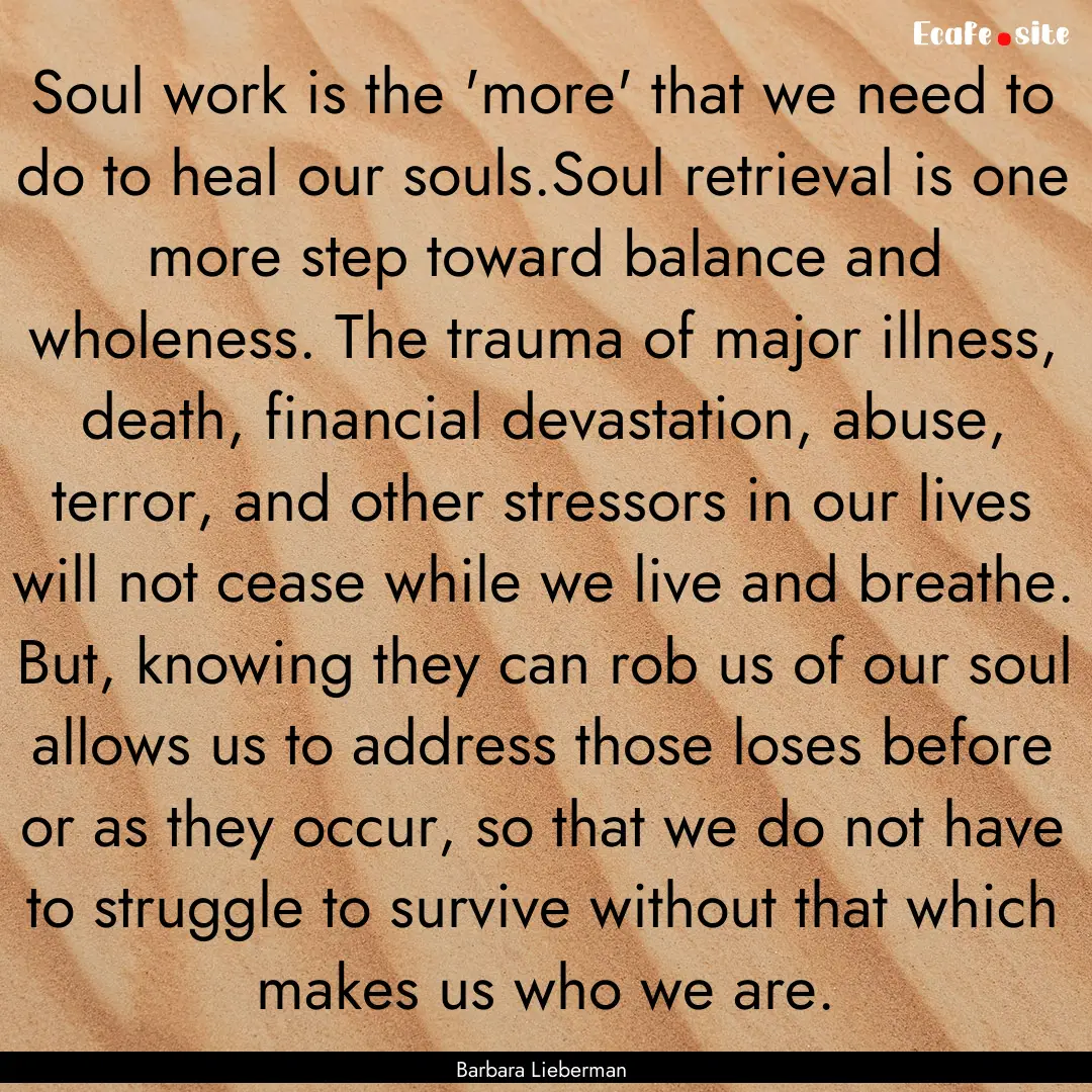 Soul work is the 'more' that we need to do.... : Quote by Barbara Lieberman