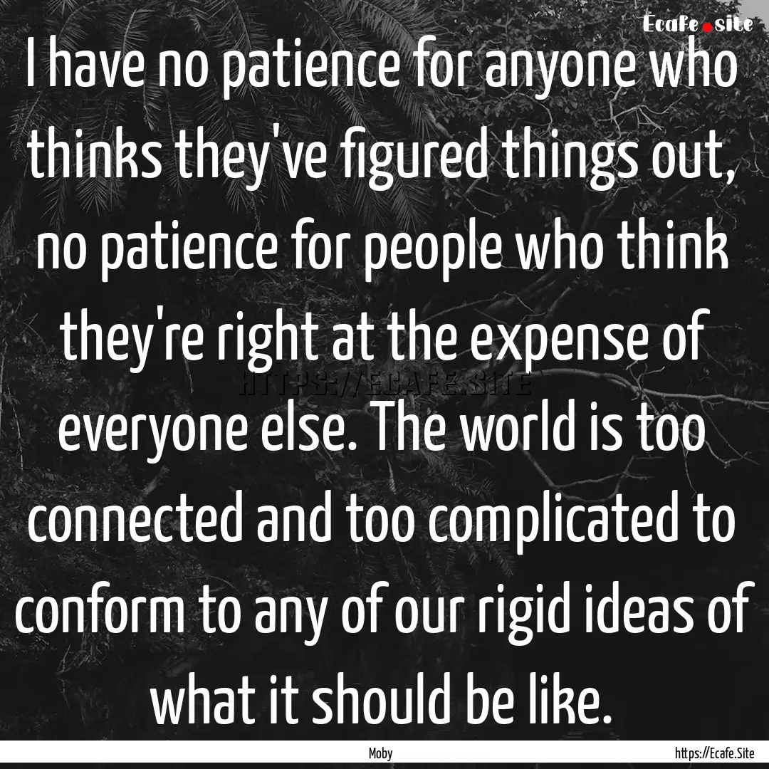 I have no patience for anyone who thinks.... : Quote by Moby