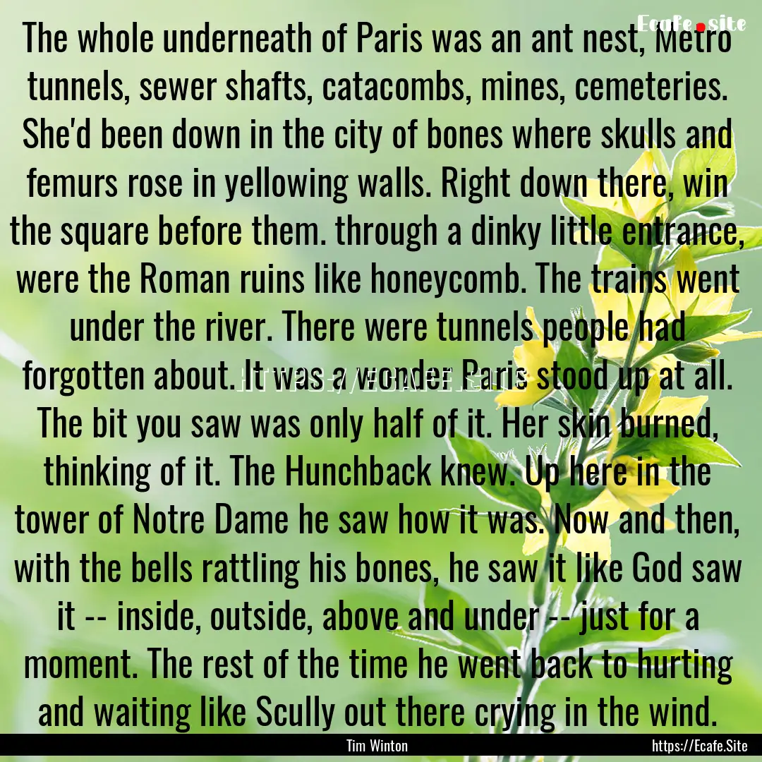 The whole underneath of Paris was an ant.... : Quote by Tim Winton