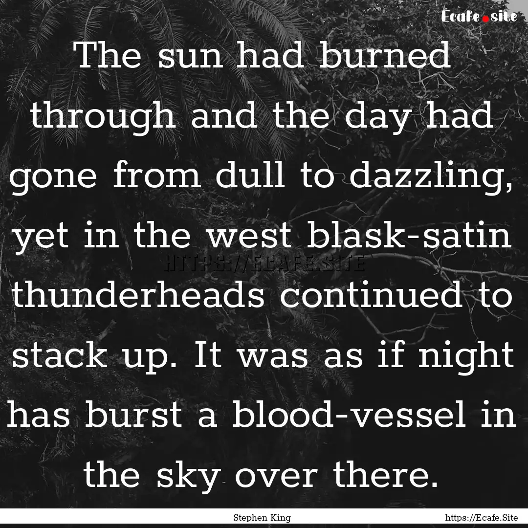 The sun had burned through and the day had.... : Quote by Stephen King