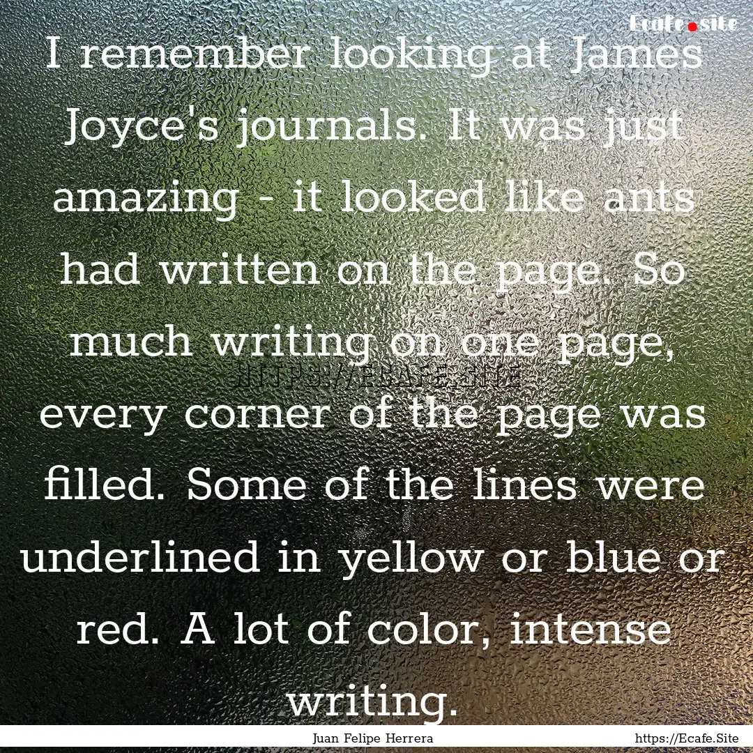 I remember looking at James Joyce's journals..... : Quote by Juan Felipe Herrera